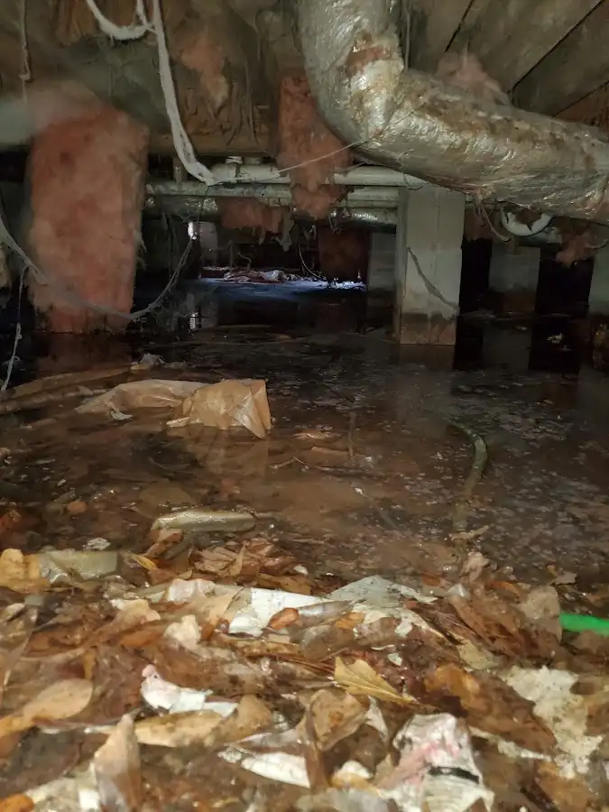 Crawl space flood assessment for Leak Detection & Repair in Shorewood