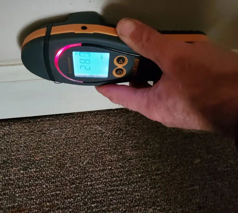 Moisture detection at baseboard during Mold Inspection & Testing in Shorewood